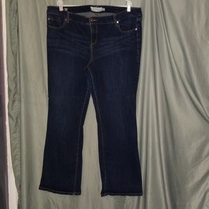 Torrid Jeans